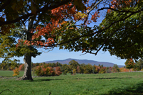 Mt. Monadnock - Witt Hill Rd - Mountain and Foliage - Fall